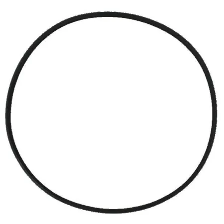 SunSun Uszczelka głowicy HW-303