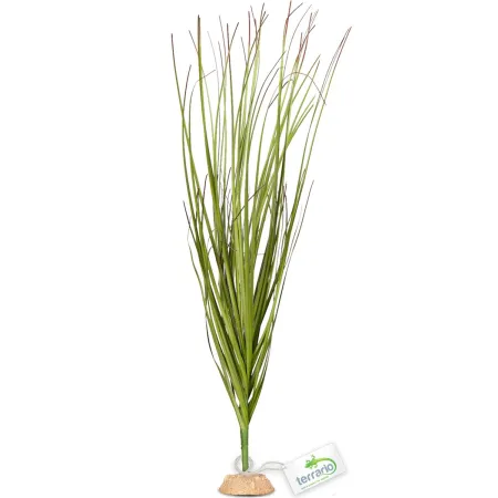 Terrario - Sztuczna roślina do terrarium i akwarium - Wysoka trawa 15x7x41 cm-1922057