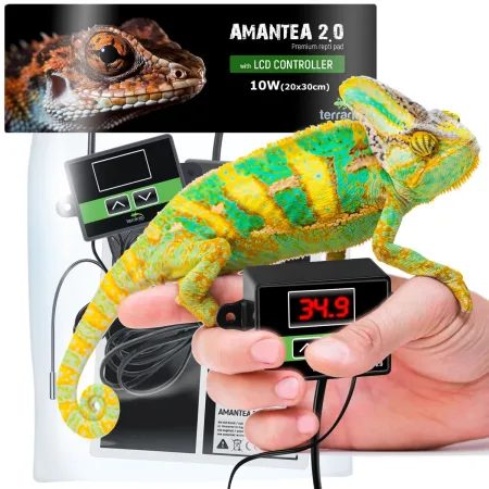 Terrario Amantea 2.0 10W - mata grzewcza z termostatem-1922086