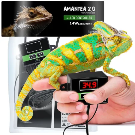 Terrario Amantea 2.0 14W - mata grzewcza z termostatem-1922096