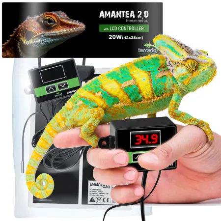 Terrario Amantea 2.0 20W - mata grzewcza z termostatem-1922106