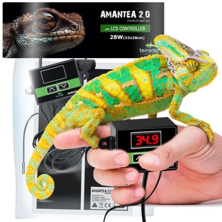 Terrario Amantea 2.0 28W - mata grzewcza z termostatem-1922116