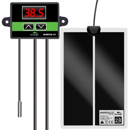 Terrario Amantea 2.0 28W - mata grzewcza z termostatem-1922121