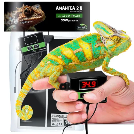 Terrario Amantea 2.0 35W - mata grzewcza z termostatem-1922126