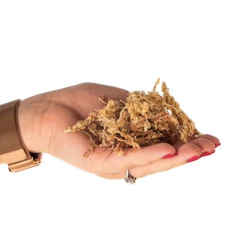 Terrario Amazonia Moss 1000ml - mech torfowiec-1922255