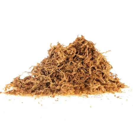 Terrario Amazonia Moss 1000ml - mech torfowiec-1922256