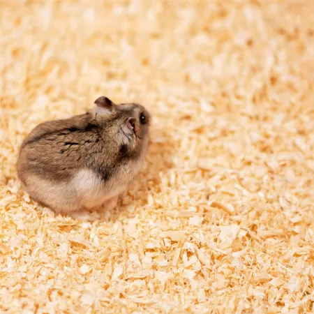 Terrario Ark Softnest 1kg - trociny dla gryzoni 15l-1922263