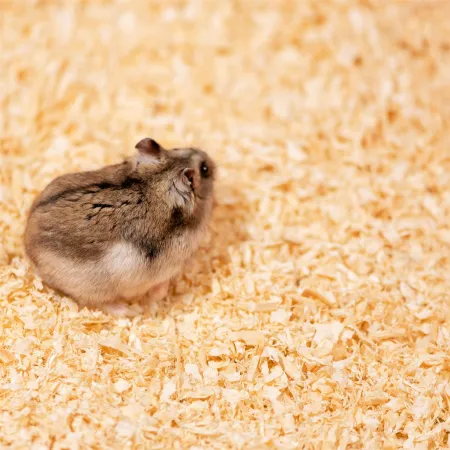 Terrario Ark Softnest 3kg - trociny dla gryzoni 45l-1922270