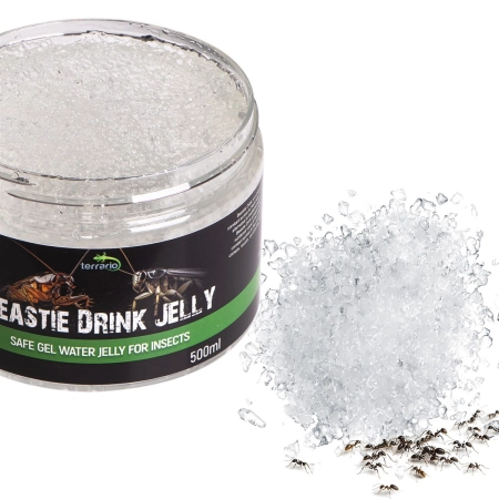 Terrario Beastie Drink Jelly 600g - bezpieczna woda w żelu dla owadów-1922316