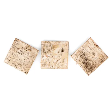 Terrario Birch Background - tło z kory 19,5 x 19,5cm-1922320