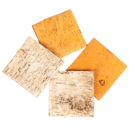 Terrario Birch Background - tło z kory 19,5 x 19,5cm-1922322