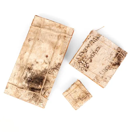 Terrario Birch Background - tło z kory 19,5 x 39cm-1922327