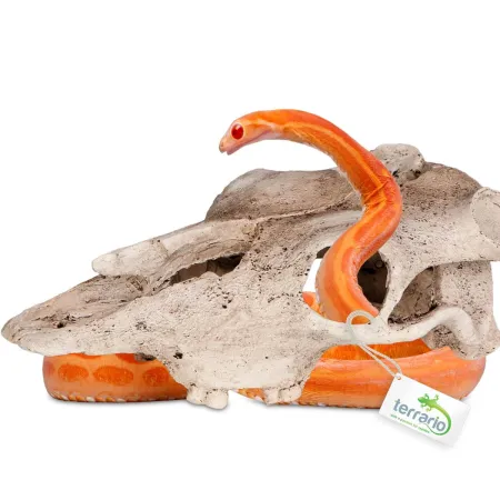 Terrario Buffalo Skull - czaszka bizona do terrarium 21x12x8 cm-1922394