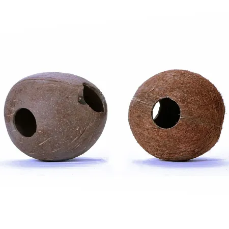 Terrario CocoLair  - cały kokos gładki-1922448