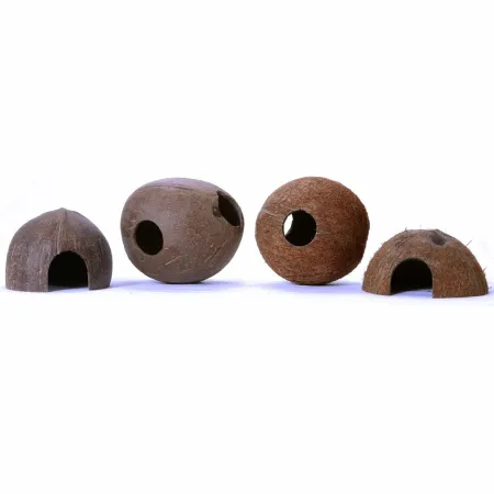 Terrario CocoLair  - cały kokos gładki-1922450