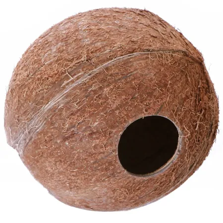 Terrario CocoLair  - cały kokos naturalny-1922454
