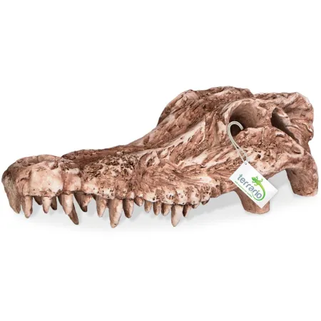 Terrario Crocodile Skull - czaszka krokodyla do terrarium 30x14x9 cm-1922469