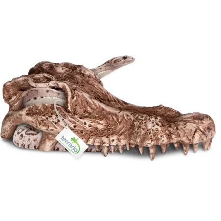 Terrario Crocodile Skull - czaszka krokodyla do terrarium 30x14x9 cm-1922472