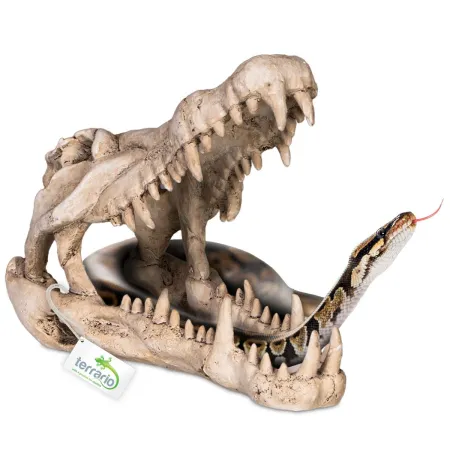 Terrario Crocodile Skull XL - czaszka krokodyla do terrarium 23x11x16 cm-1922478