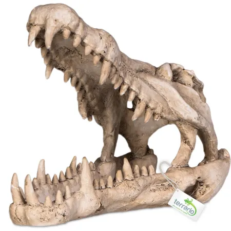Terrario Crocodile Skull XL - czaszka krokodyla do terrarium 23x11x16 cm-1922484