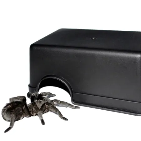 Terrario CubeCave - jaskinia  miska na wodę i pokarm 14x10x6cm-1922487