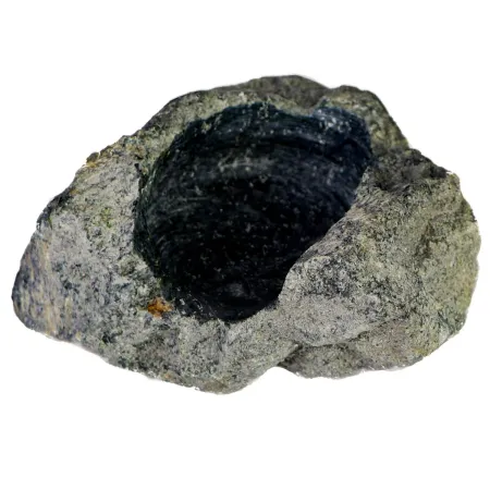 Terrario Deep Rock Cave M - głęboka jaskinia w naturalnej skale-1922518