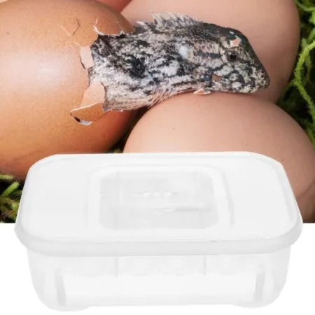 Terrario EggIncubator - inkubator na 12 jaj-1922557
