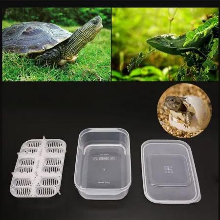 Terrario EggIncubator - inkubator na 12 jaj-1922561