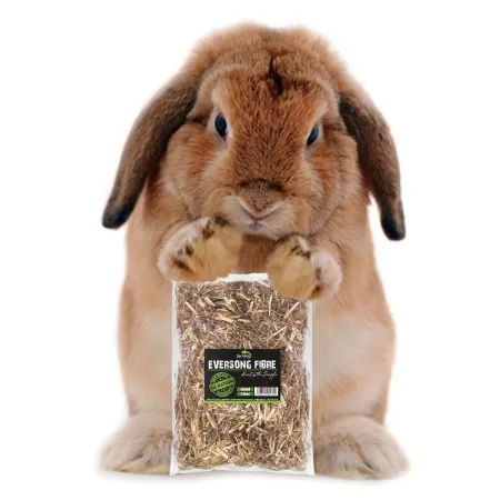 Terrario Eversong Fibre Mix 5l - mieszanka z słomy konopnej-1922639