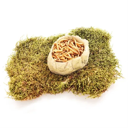 Terrario FoodStone XS - miska na pokarm 8x7x2,5cm-1922672