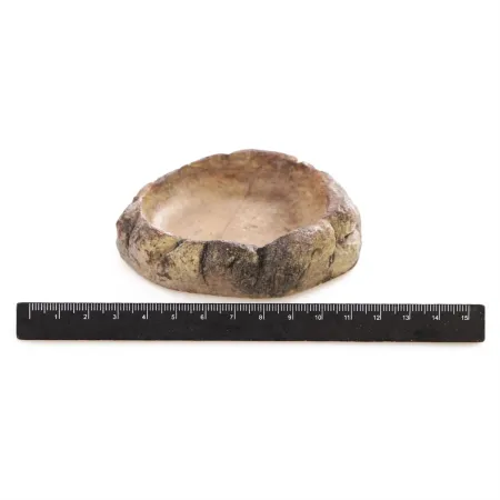 Terrario FoodStone XS - miska na pokarm 8x7x2,5cm-1922676