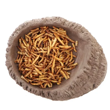 Terrario FoodWood M - miska na pokarm 14x12x2,5cm-1922681