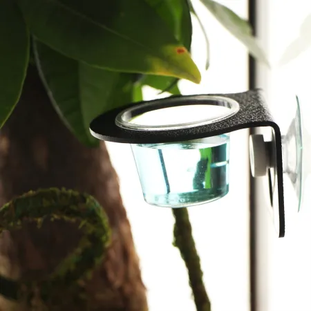 Terrario Gecko Bar Black - miska wisząca-1922698