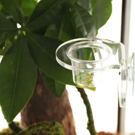 Terrario Gecko Bar Dish - miseczka zapasowa 30ml-1922709