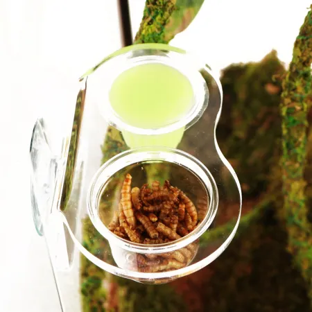 Terrario Gecko Bar Duo Jelly Invisible - miska wisząca podwójna-1922754