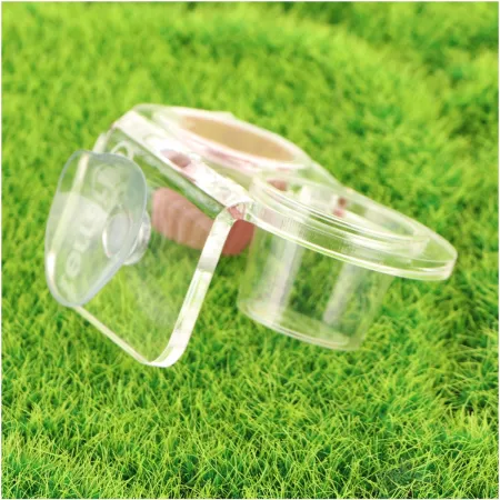 Terrario Gecko Bar Duo Jelly Invisible - miska wisząca podwójna-1922755