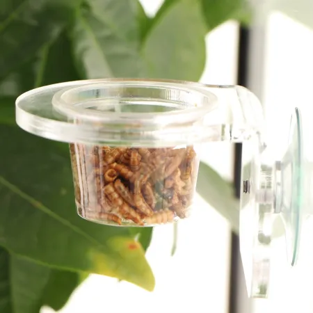 Terrario Gecko Bar Invisible - miska wisząca-1922761