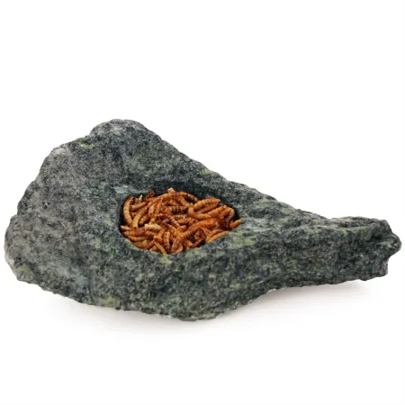 Terrario Hard Rock Dish L - miska w naturalnej skale-1922846