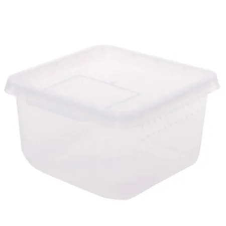 Terrario Insect Box Compact - plastikowe terrarium 12x12x7cm