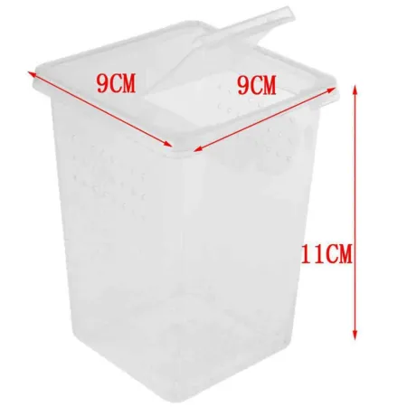 Terrario Insect Box High - plastikowe terrarium 9x9x11cm-1923063