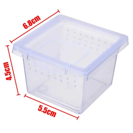 Terrario Insect Box Mini - plastikowe terrarium 6,5x6,5x4,5cm-1923068