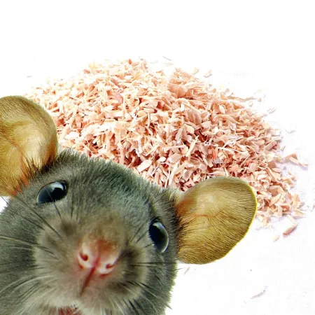 Terrario Krau Wildlife 5l - włókno drewniane Aspen / Lignocel-1923088