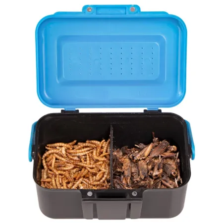 Terrario Live Food Box - podwójny pojemnik na żywą karmówkę-1923136