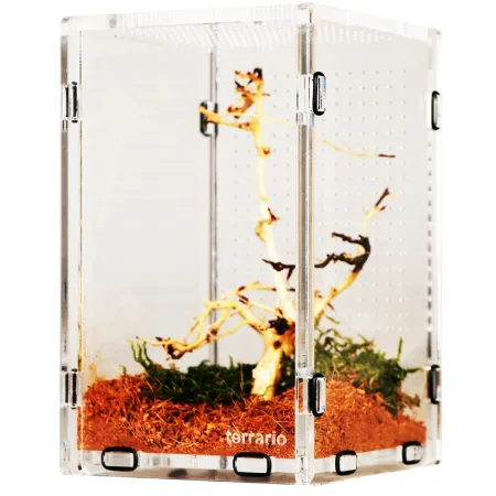 Terrario Mantis Area L - terrarium akrylowe dla modliszek i owadów-1923175