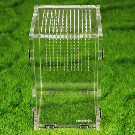 Terrario Mantis Area L - terrarium akrylowe dla modliszek i owadów-1923179