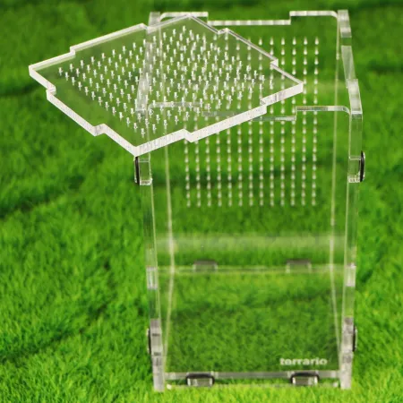 Terrario Mantis Area L - terrarium akrylowe dla modliszek i owadów-1923180