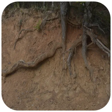 Terrario Monument Mud 1kg - mieszanka z gliną-1923198