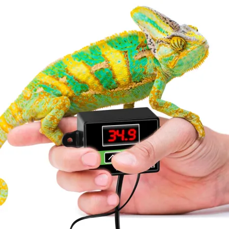 Terrario Morante - termostat terrarystyczny z sondą-1923208