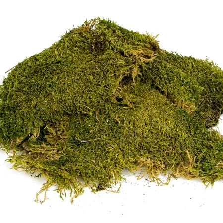 Terrario North King Moss 50g - mech płat-1923343