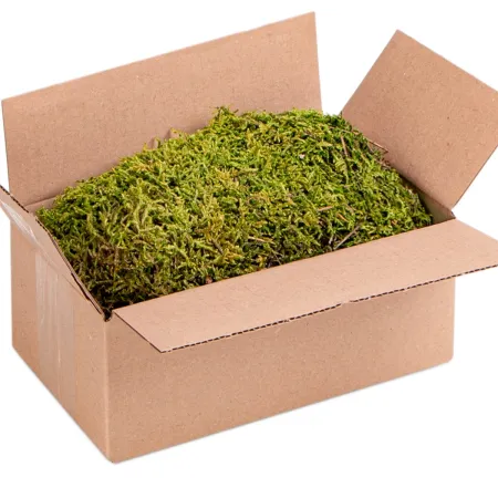 Terrario North King Moss Box 1.5l - mech tropikalny-1923357